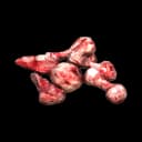 Bones