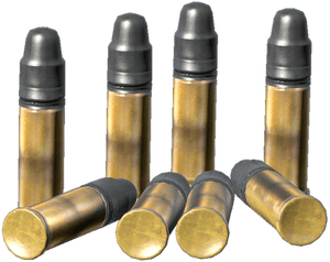 DayZ .22 LR Rounds ammunition item image