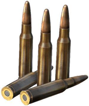 DayZ .308 WIN Rounds ammunition item image