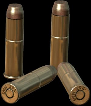 DayZ .357 Rounds ammunition item image