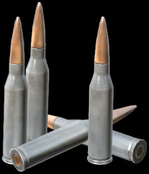 DayZ 5.45x39mm Rounds ammunition item image