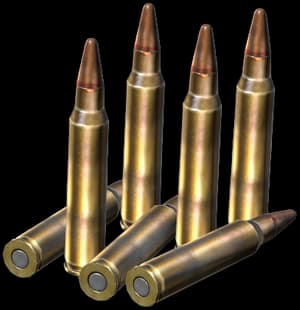 DayZ 5.56x45mm Rounds ammunition item image
