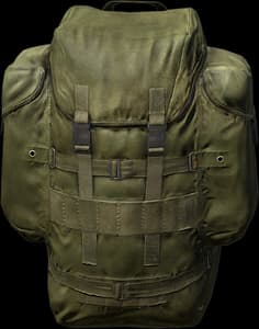 DayZ Assault Backpack item image