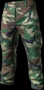 DayZ BDU Pants clothing item image