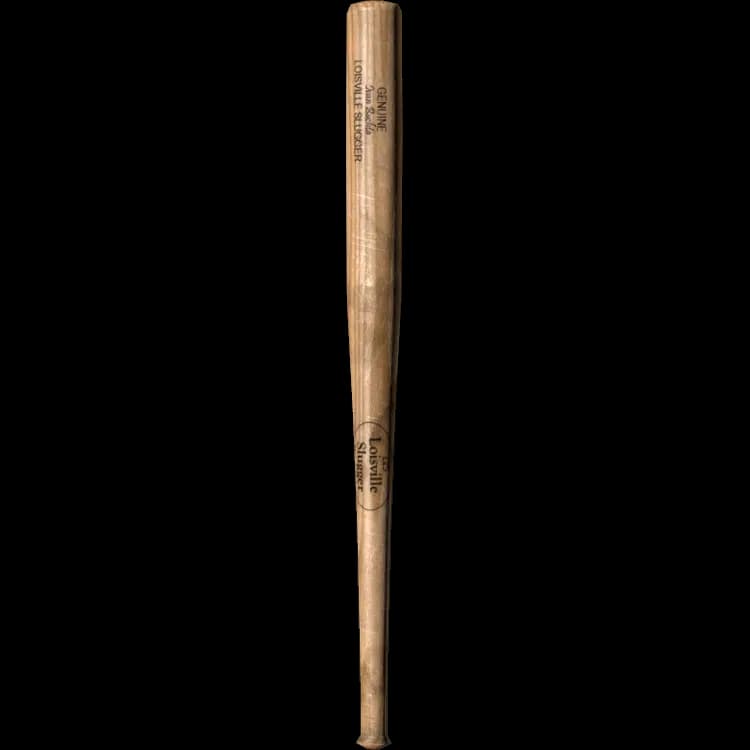 DayZ Baseball Bat item image