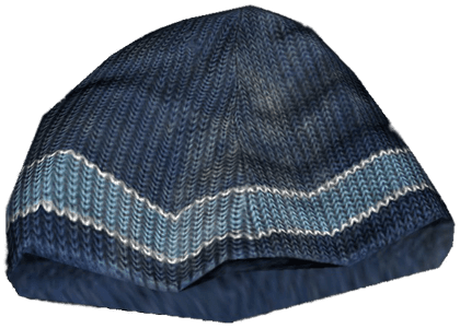 DayZ Beanie item image