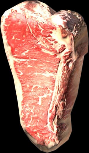 DayZ Bear Steak meat food item image