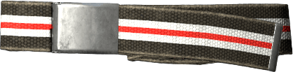 DayZ Belt clothing item image