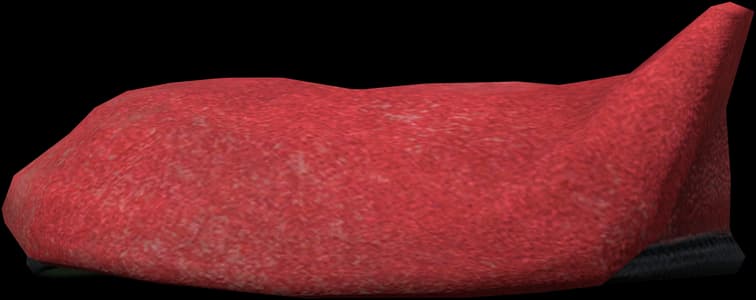 DayZ Beret item image