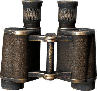 DayZ Binoculars equipment item image