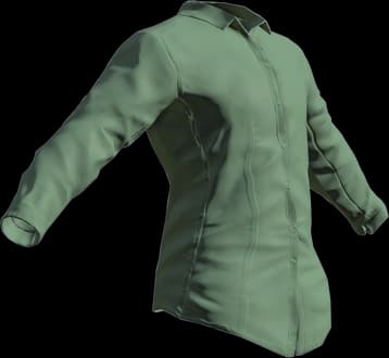 DayZ Blouse clothing item image