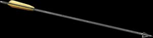 DayZ Bolt crossbow ammunition item image