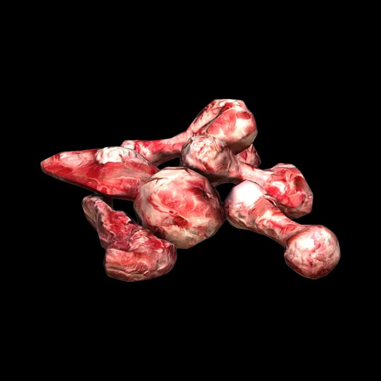 Bones
