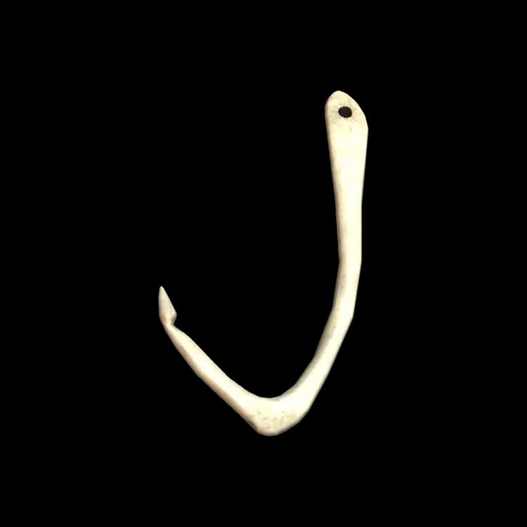 Bone Hook