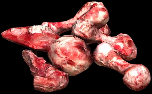 DayZ Bones resource item image