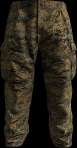 DayZ CUU Pants clothing item image