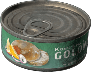 DayZ Canned Pork food item image
