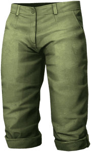 DayZ Capri Pants clothing item image