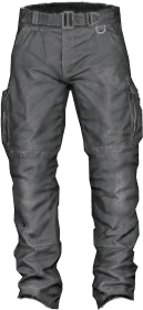 DayZ Cargo Pants clothing item image