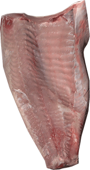 DayZ Carp Fillet fish food item image