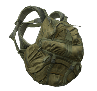 DayZ Combat Backpack item image