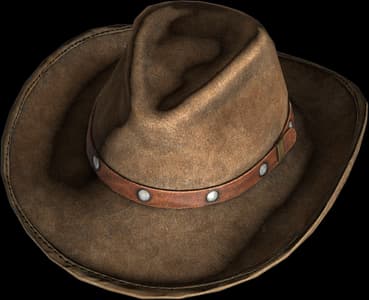 DayZ Cowboy Hat item image