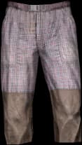 DayZ Crop Hiking Pants clothing item image