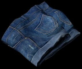 DayZ Denim Shorts clothing item image