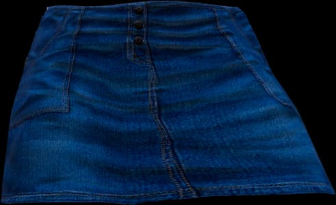 DayZ Denim Skirt clothing item image