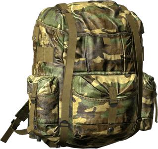 DayZ Field Backpack item image