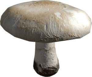 DayZ Field Mushroom food item image