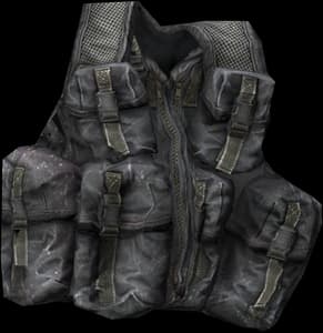 DayZ Field Vest clothing item image