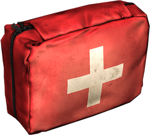 DayZ first aid pouch item icon