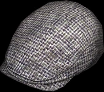 DayZ Flat Cap item image