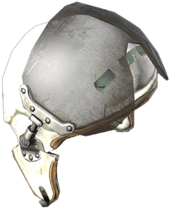 DayZ Flight Helmet item image
