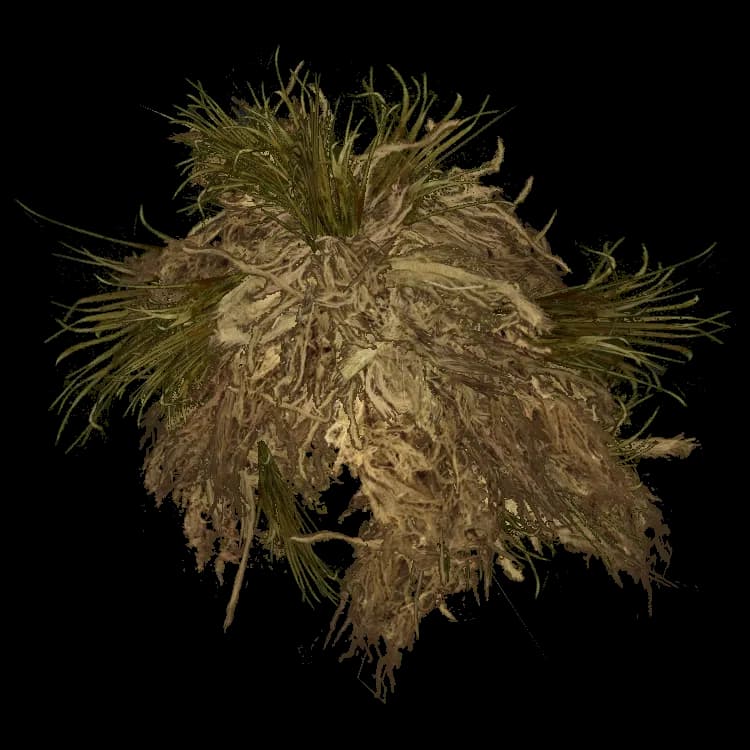 Ghillie Hood