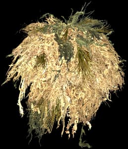 DayZ Ghillie Shrug camouflage item image
