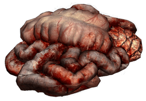 DayZ Guts food and resource item image