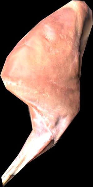 DayZ Hare Leg meat food item image