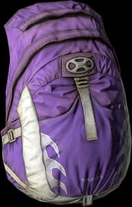 DayZ Hiking Backpack item image