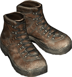 DayZ Hiking Boots item image