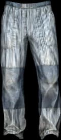 DayZ Hiking Pants clothing item image
