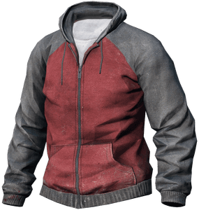 DayZ Hoodie clothing item image