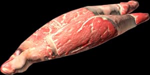 DayZ Human Steak meat food item image