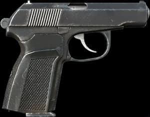 DayZ IJ-70 handgun item image
