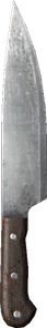 DayZ Kitchen Knife item image