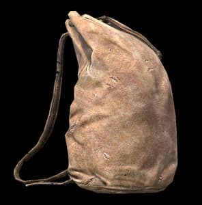 DayZ Leather Backpack item image