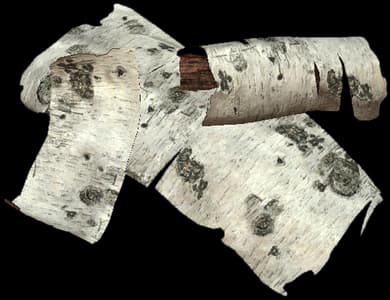 DayZ Light Bark resource item image