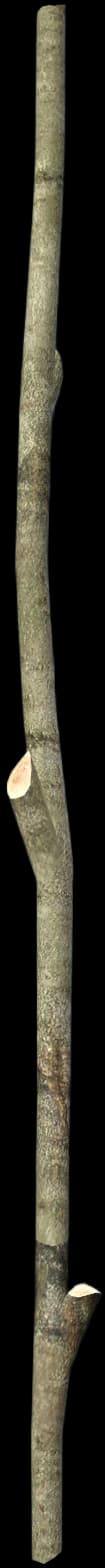 DayZ Long Stick resource item image