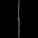 4 Long Sticks